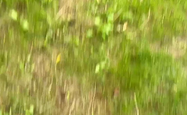 british Gay Porn